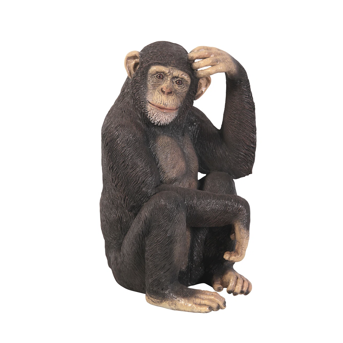 Chauncey the Pondering Chimp