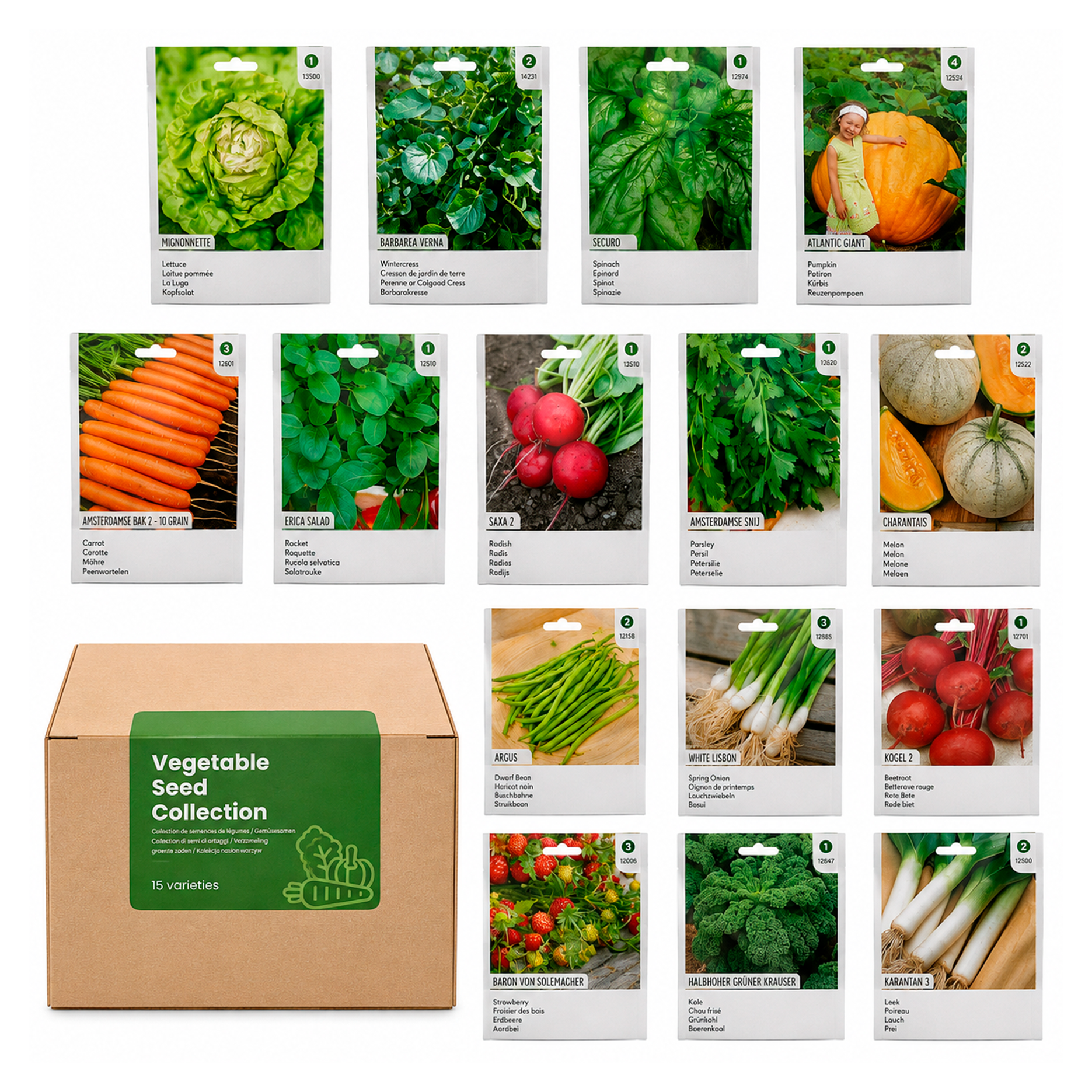 Vegetable Seed Collection – 15 Essential Varieties